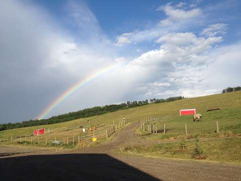 Laughing Horse Ranch