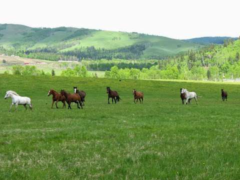 Liberty Stables